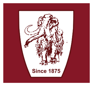 Since 1875